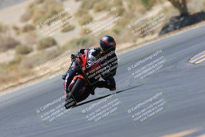 media/May-14-2023-SoCal Trackdays (Sun) [[024eb53b40]]/Turn 5 Tree of Life (1125am)/